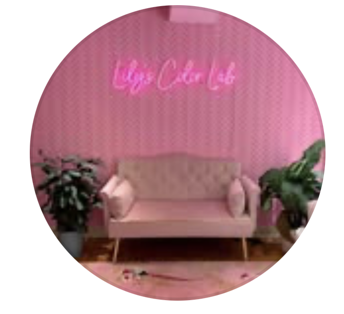 Lily's Color Lab LA
